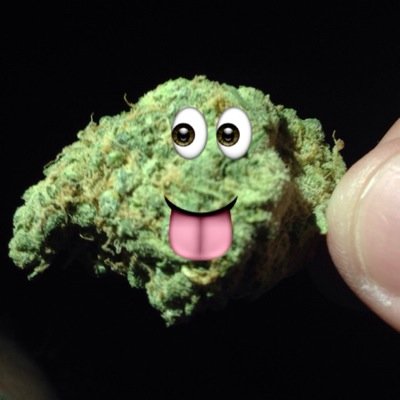 All the smoke without the mirrors... Happy Toking!

 @TokerSupply. Use my code TokerLife for a discount! http://t.co/RYdEGXYOBz