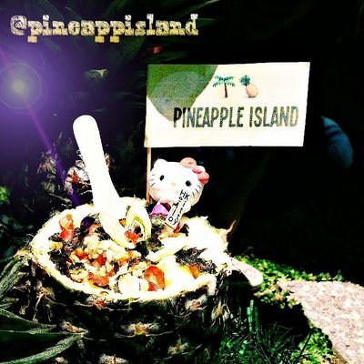pineappisland's profile picture. coming soon @ Universitas Katolik Parahyangan