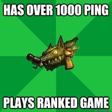 Support or afk.17 FPS