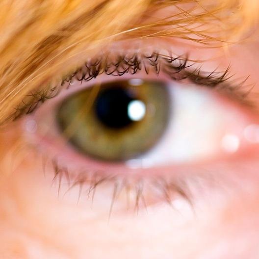 JoAnneKalish1's profile picture. Visual Communicator, Marketing Professional, Internationally known Photographer/Artist. Assignments gratefully accepted. https://t.co/hVq7TzedRT.