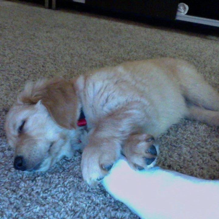 isaacsbolin's profile picture. nothing's impossible