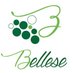 Bellese Vini (@bellesevini) Twitter profile photo