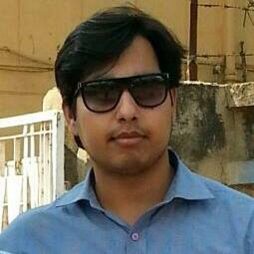 Chartered Accountant