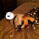 Noah Conrad - @FOB_BUI - Twitter