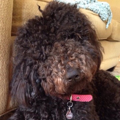 Anna Stephenson Profile