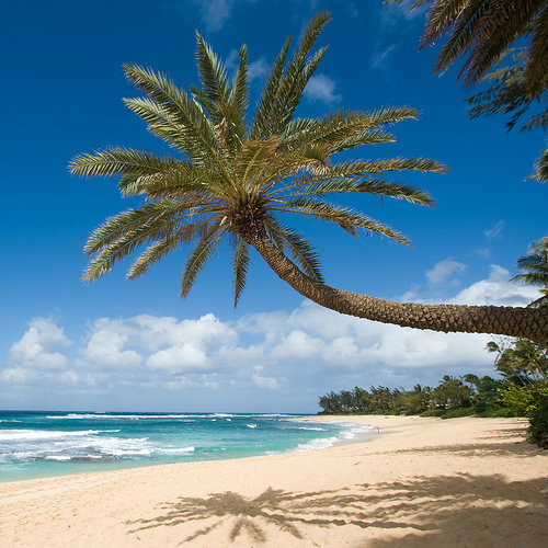 oahuweather's profile picture. Whats it like whee you stay?