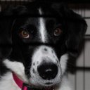 Stacey Fields - @staceyfields86 - Twitter