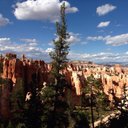 Sandy Spence - @Pie72Sweet - Twitter