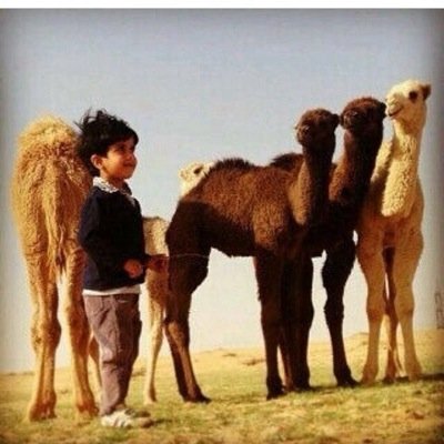 “الحممدللہ : على - مَا مضى ..♡ ۈآلحمدللہ : على - مَا سيأتي ..♡ ۈآلحمدللہ : على / كُل - حال ..♡”