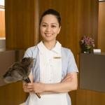 renesoflajolla's profile picture. All workers are legally documented and are trained, experienced and professional. We are fully licensed and insured. (858) 455-0729, (858) 560-0762.