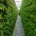 Richard Venn - @VennRichard - Twitter