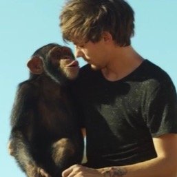 Im the monkey from the Steal My Girl music video. @Louis_Tomlinson kissed me. Met 5/5 *RP ACCOUNT-Dont personally know 1D or Eli*