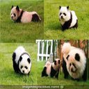 Maria Del Risario Na - @Maria_del_Ross - Twitter