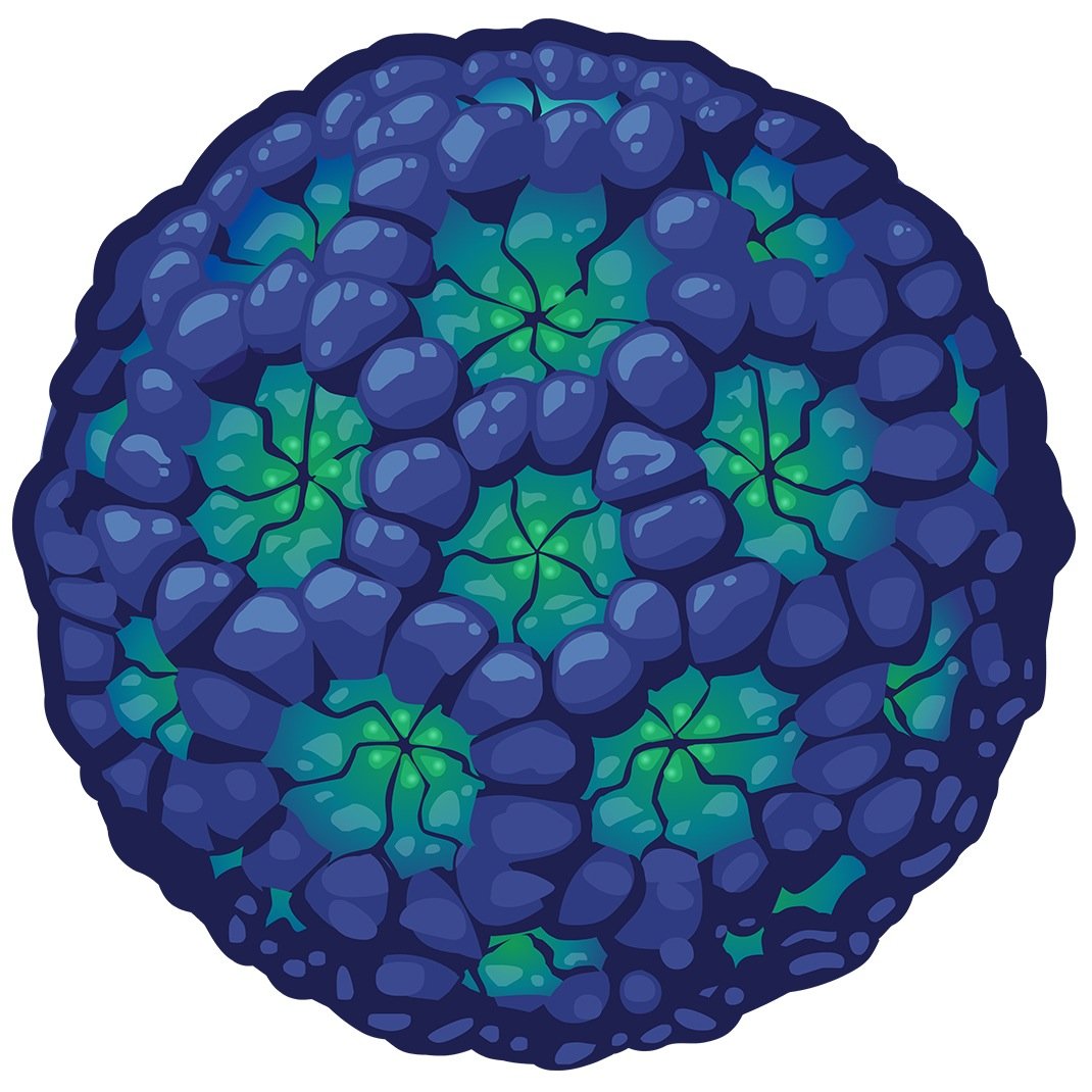 USDA-NIFA Food Virology Collaborative