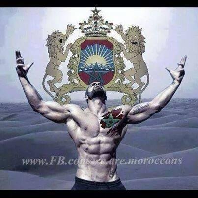 med95safir's profile picture. 