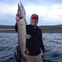 Keith Iler (@thebigpapa3) 's Twitter Profile