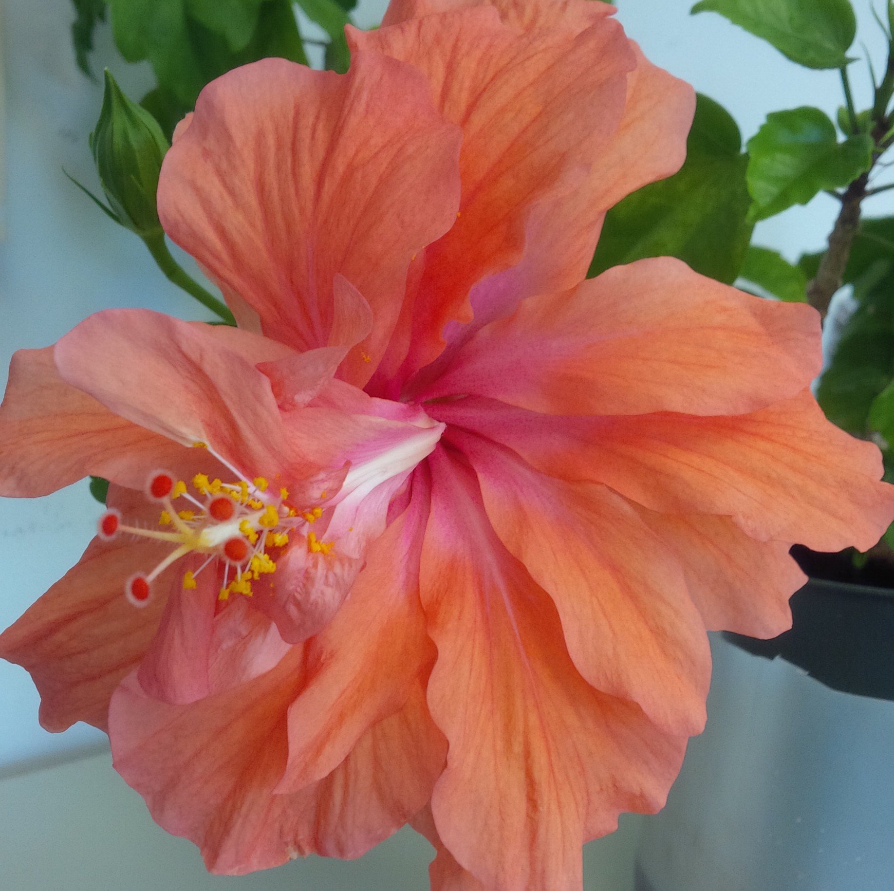 millerchiller1's profile picture. 