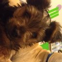 Tia Combs - @Precisely_Pink - Twitter