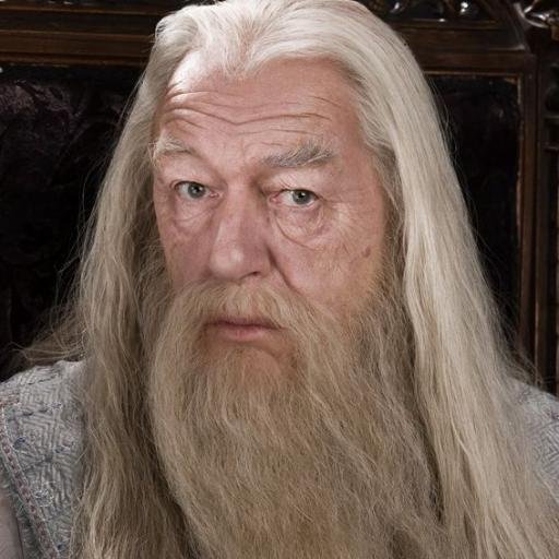 Directeur de Poudlard, président du magenmagot, membre de l'ordre du phénix, ordre de merlin premiere classe. #AlbusDumbledore