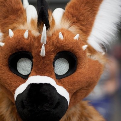 Official Page of FursuitFriday From FB, with over 1,000+ likes & Views! Check it out!