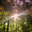 Brian Albrecht - @brialbrecht - Twitter