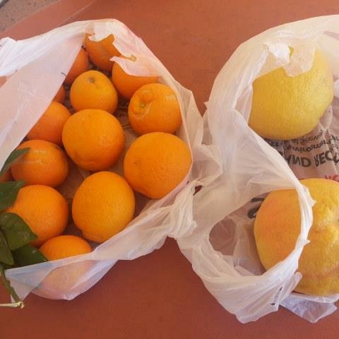 SCWCalendar's profile picture. 