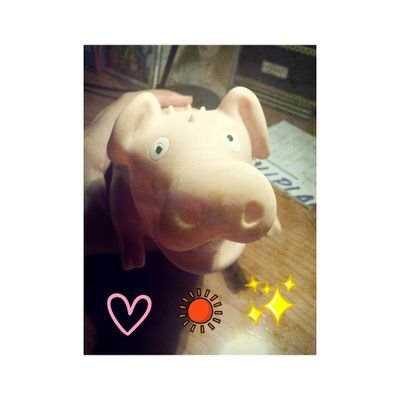 ☀ this acc reminds you that you'll hug your sunshine porky very soon bc he loves you ☀