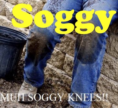 Muh S O G G Y knees