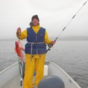 Bruce Lauer - @bruce17518455 - Twitter