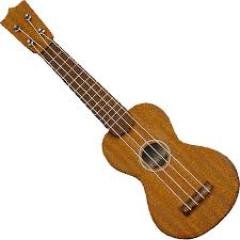 UkuleleLesson Profile Picture