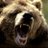 BradleyBearsxox's profile image