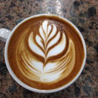 Caffe D'arte Coffee (@caffedarte) 's Twitter Profile