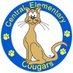 Central Elementary (@CougarsCE) Twitter profile photo