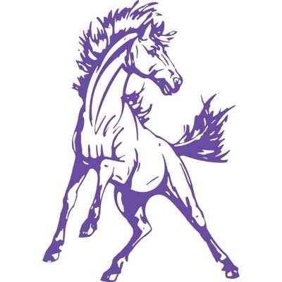 The official student-run account of Spring Hill High's Student Council!     #aspiretoinspire #BroncoPride Instagram - SHHSBroncoStuco