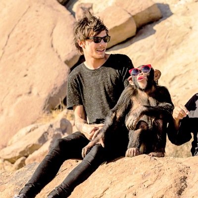 I'm Eli the chimpanzee (rp) my owner is @peterpansexuaI