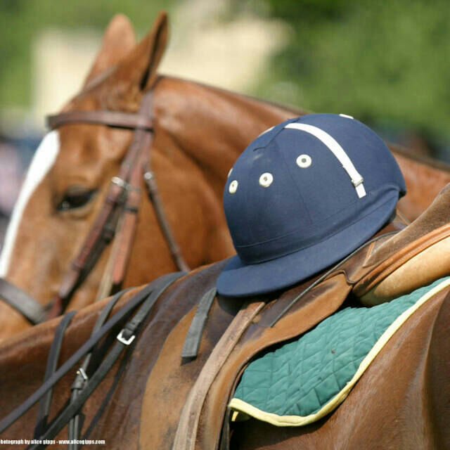 sarakikzr's profile picture. 