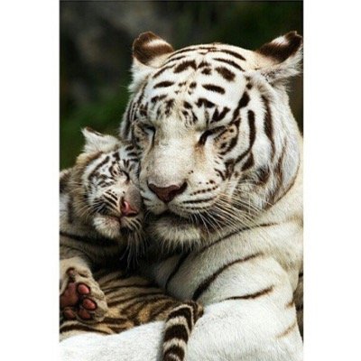 giusepro71's profile picture. 