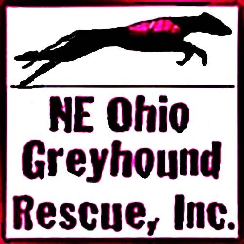 We prepare newly retired racing greyhounds for life as cherished pets.