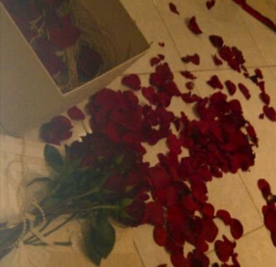 ‏‏‏‏‏الحب لايعني ان ترئ من تحبه شكلاً جميلا،فـ من يقع في الحب يصاب بـ عمئ العين وعمئ القلب فـ في الحب تفقد القلوب بصرها..!