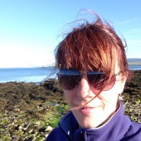 Lisa MacDonald (@cocoannwyl) 's Twitter Profile Photo