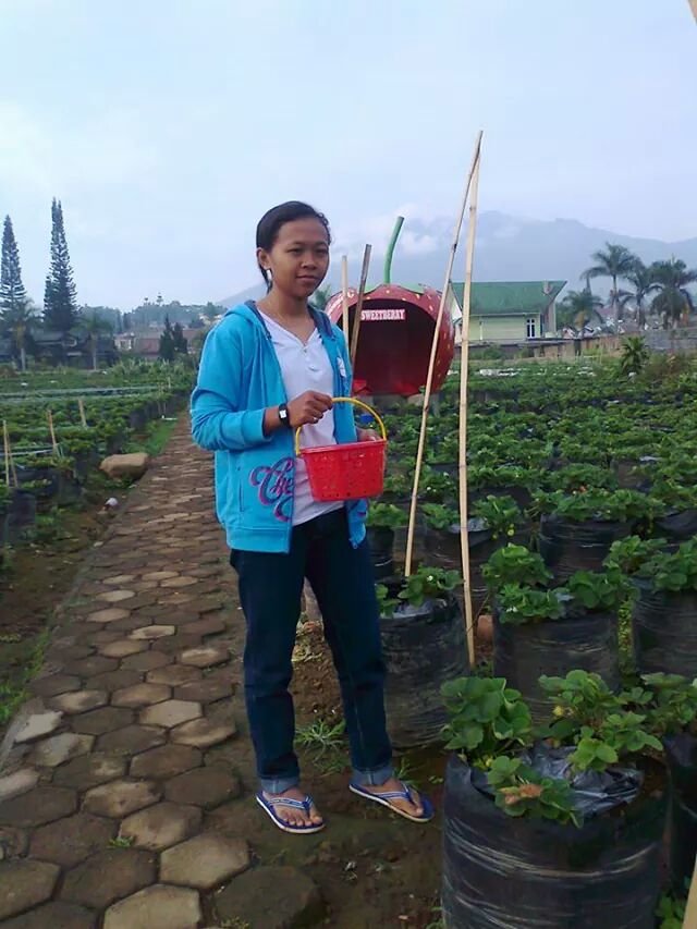 Kepercayaan mahal harganya