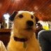 Ally (@allypar1) Twitter profile photo Ally (@allypar1) Twitter profile photo