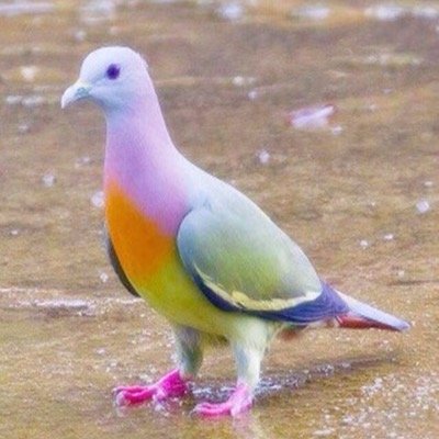 لا شيء أجمَل من أن تمنَحك الحُياة 
قَلباً يهتمُ بك أكثرَ من نفُسه