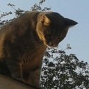 Lloyd Gilbert - @gilbertlloyd221 - Twitter