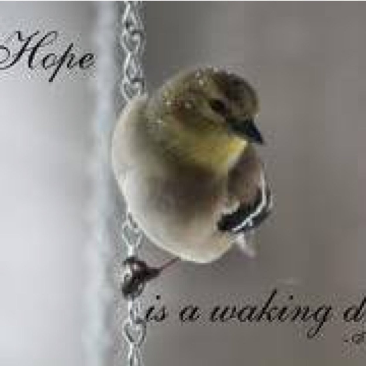 IAmRitaMarie's profile picture. When you change the way you look at things, the things you look at change. - Dr. Wayne Dyer