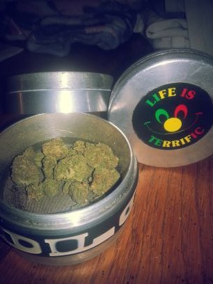 Well I Stay high as a kite cause the views better

follow my Instagram page
@stayhigh305