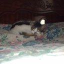 Donna Colin - @ShoreColin - Twitter