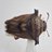 biz_creatures's profile image