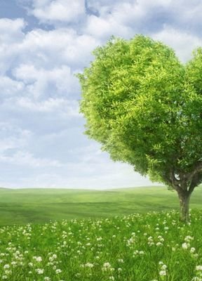 pamo0ol4414's profile picture. ‏‏‏‏‏‏‏سبحان الله وبحمده، عدد خلقه، ورضى نفسه، وزنة عرشه ،ومداد كلماته