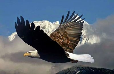 Alleyoop1943Ted's profile picture. wigwam71